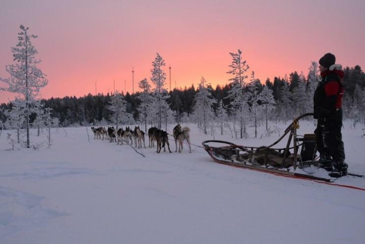 Apartment Suutarintie - Authentic Lappish Experience By The River โรวานิเอมิ ภายนอก รูปภาพ